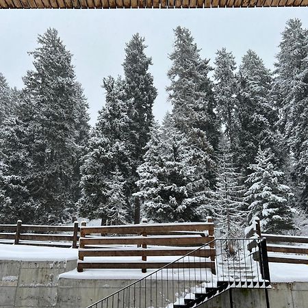 Bakuriani Apartment With Forest Around Esterno foto