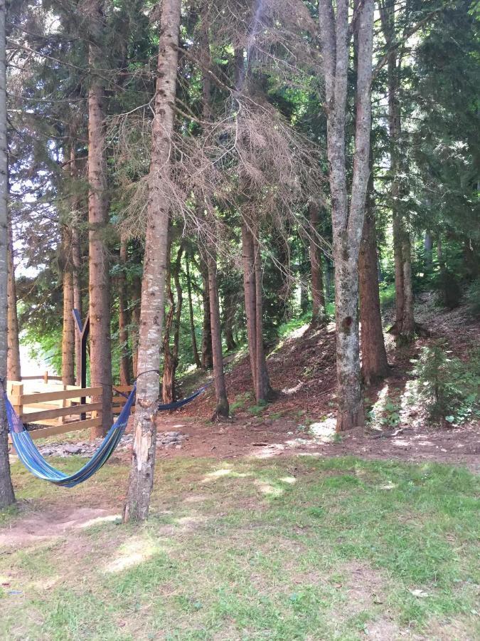 Bakuriani Apartment With Forest Around Esterno foto