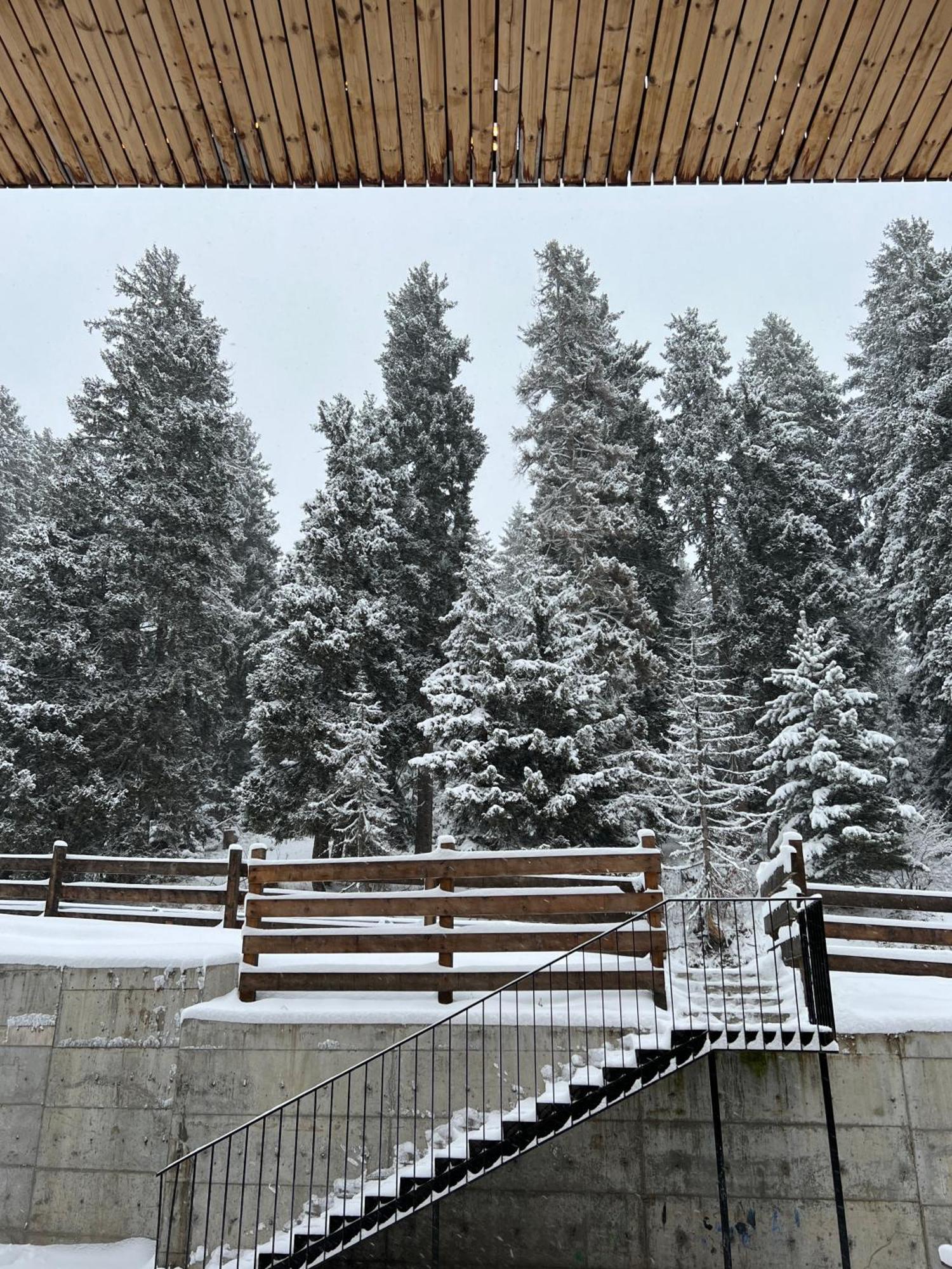 Bakuriani Apartment With Forest Around Esterno foto