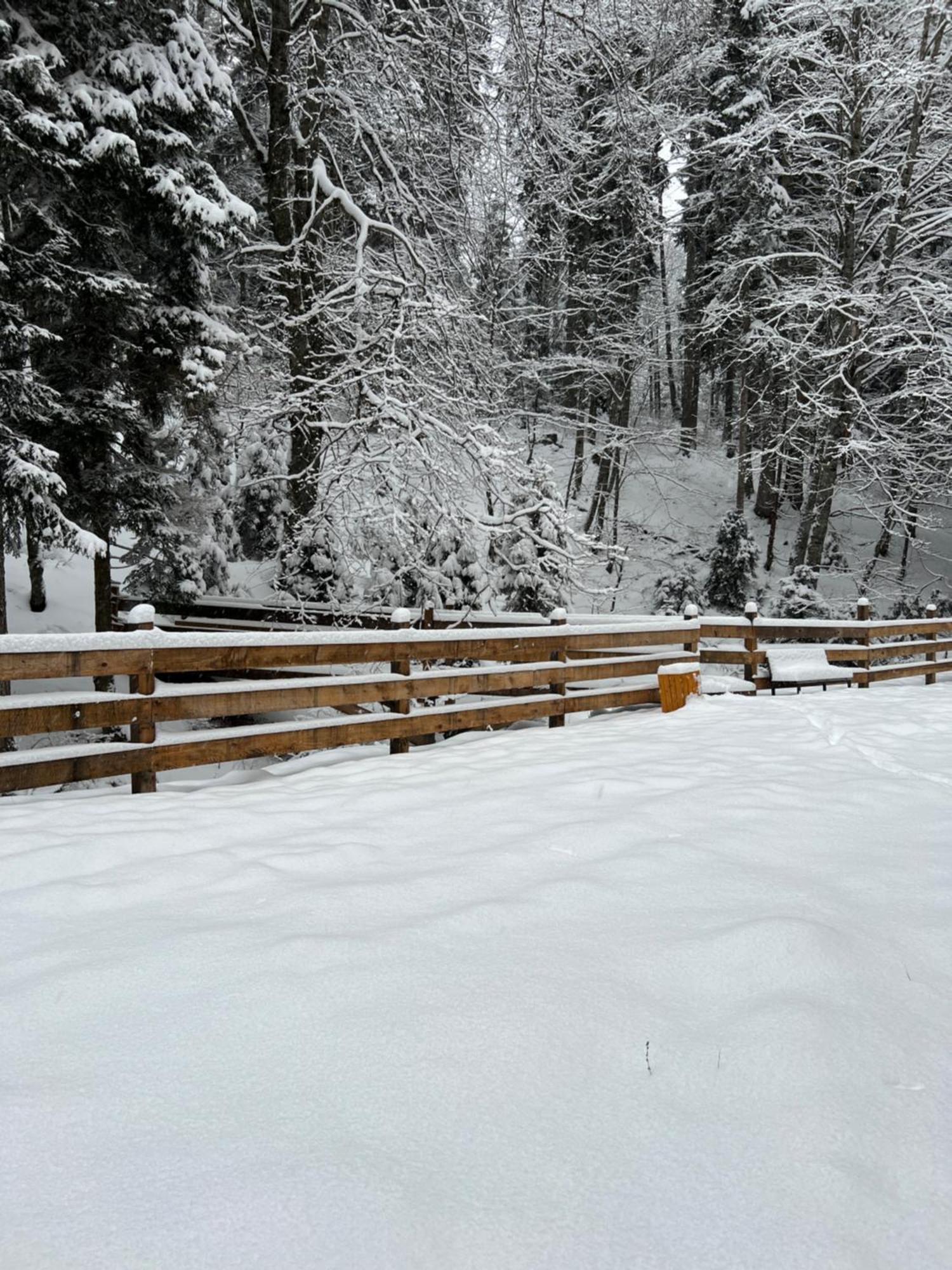 Bakuriani Apartment With Forest Around Esterno foto